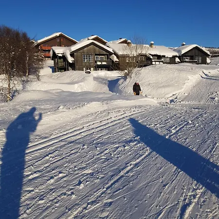 Family-friendly In Apartment Beitostolen